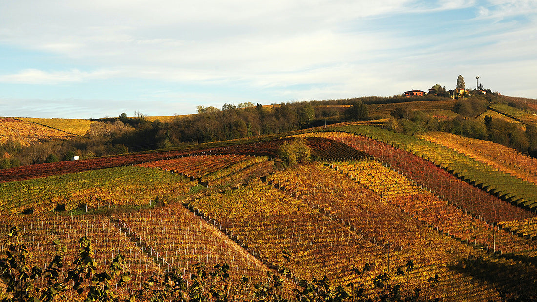 Anbauregion Piemont